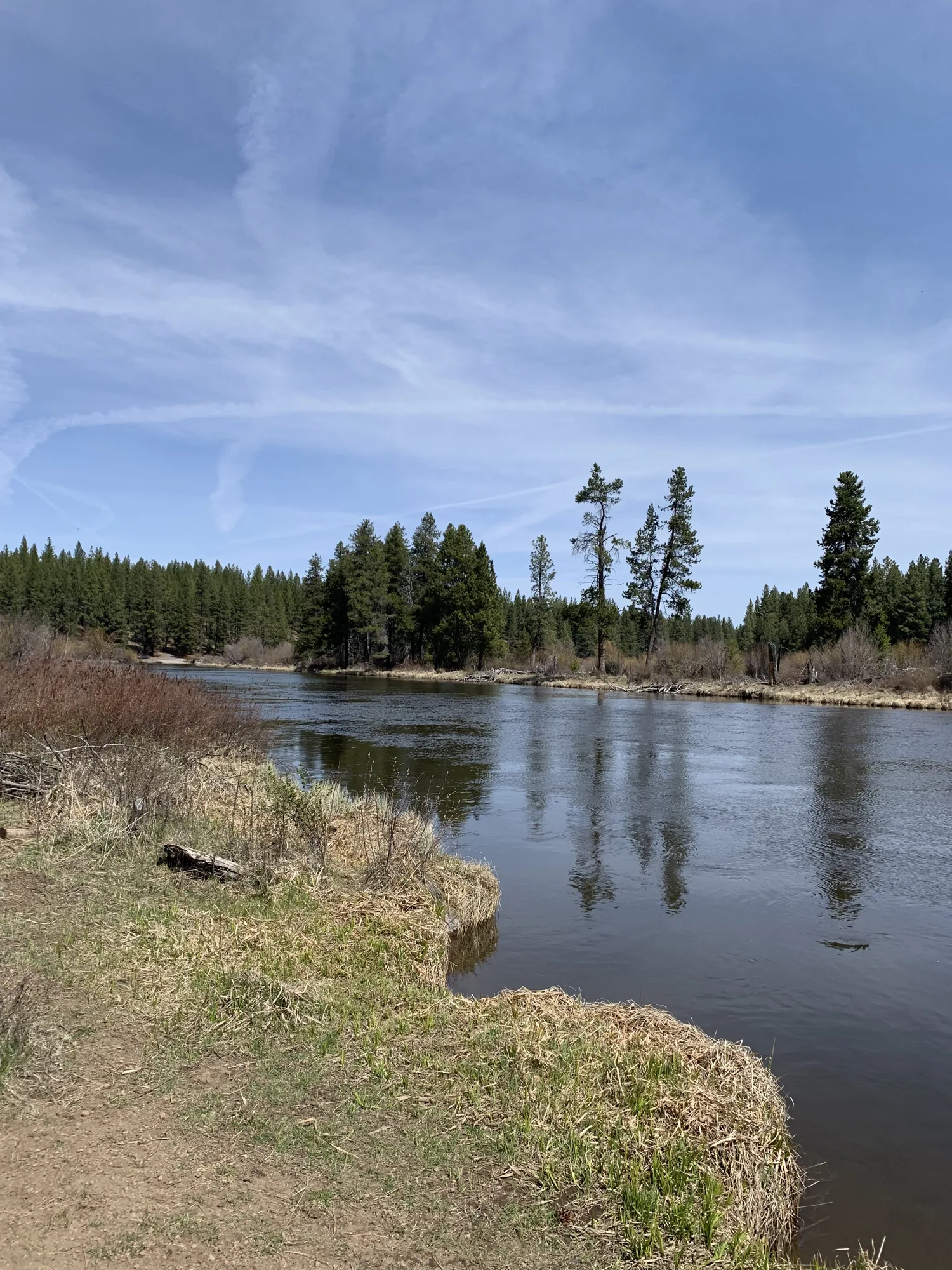 River and green space in Bend, Oregon